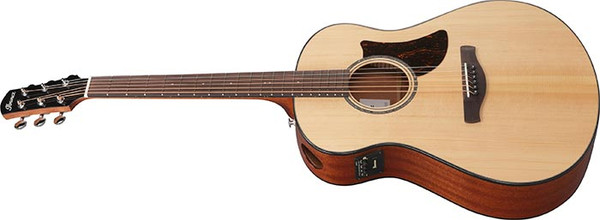 Изображение товара Электроакустическая гитара Ibanez AAM100E-NT