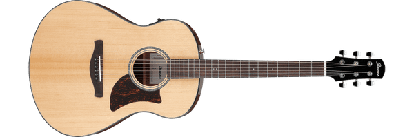 Изображение товара Электроакустическая гитара Ibanez AAM100E-NT