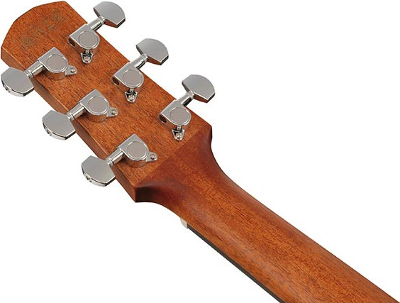 Изображение товара Электроакустическая гитара Ibanez AAM100E-NT