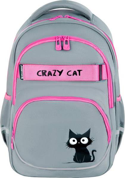Изображение товара Школьный рюкзак Brauberg Motion. Crazy Cat / 273115