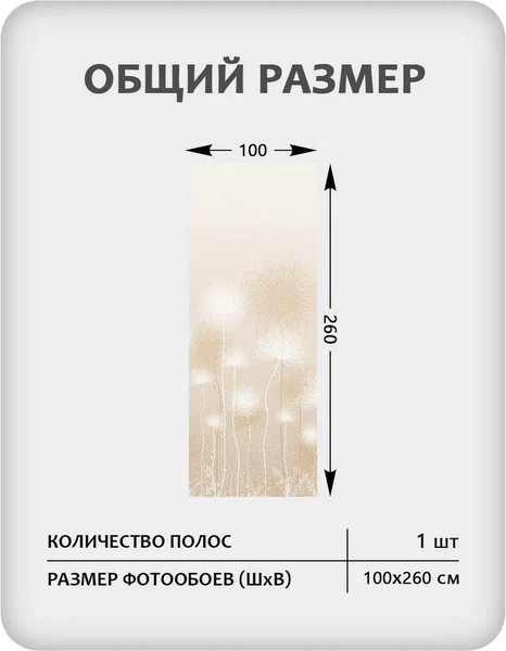 Изображение товара Фотообои листовые Citydecor Невесомость 43 (100x260см)