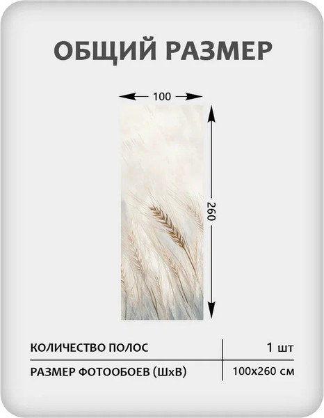 Изображение товара Фотообои листовые Citydecor Невесомость 45 (100x260см)