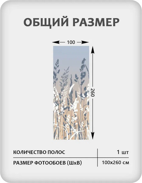 Изображение товара Фотообои листовые Citydecor Невесомость 46 (100x260см)