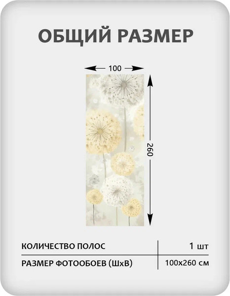 Изображение товара Фотообои листовые Citydecor Невесомость 47 (100x260см)