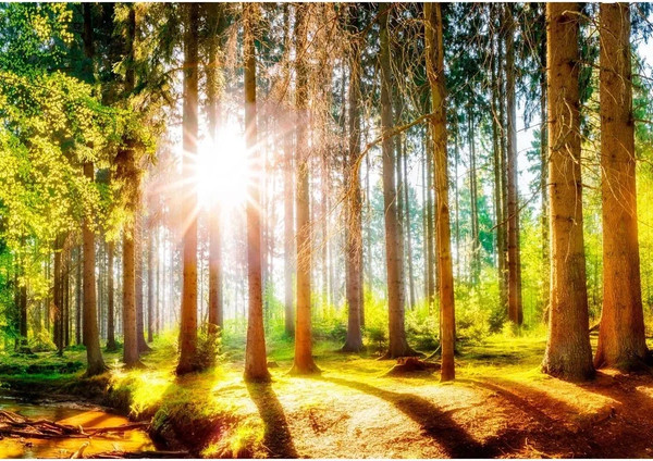 Изображение товара Фотообои листовые Citydecor Природа 149 (100x260см)