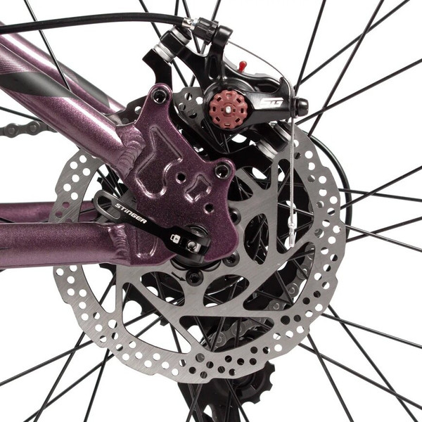 Изображение товара Велосипед Stinger Laguna 26 / 26AHD.LAGUNA.SMSL5 (серебристый)