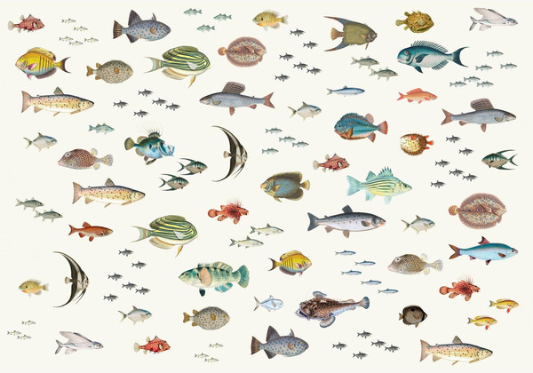 Изображение товара Фотообои листовые Citydecor Dreamy 3 (200x140см)