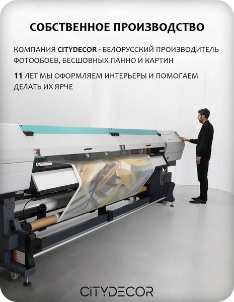 Изображение товара Фотообои листовые Citydecor Scandi 55 (500x260см)