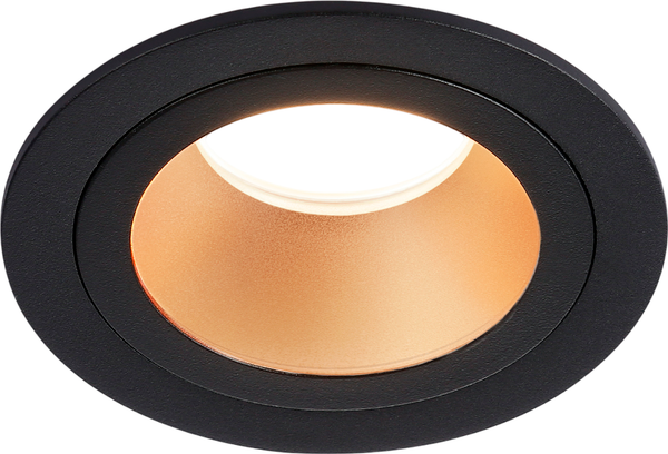 Изображение товара Точечный светильник Ambrella TN102825 BK/GD (черный/золото)