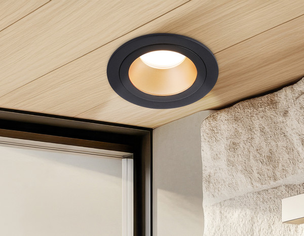 Изображение товара Точечный светильник Ambrella TN102825 BK/GD (черный/золото)