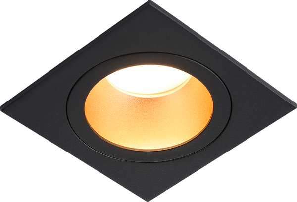 Изображение товара Точечный светильник Ambrella TN102829 BK/GD (черный/золото)