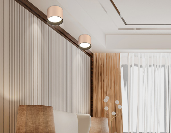 Изображение товара Точечный светильник Ambrella TN5305 GD/BK (золото/черный)