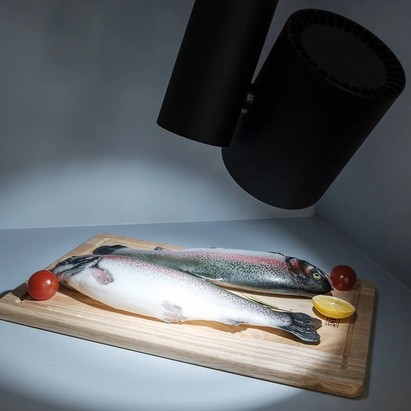 Изображение товара Трековый светильник Arlight LGD-SHOP-4TR-R100-40W Cool SP7500-Fish BK 24deg / 026291