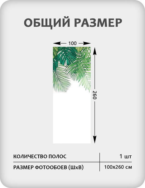 Изображение товара Фотообои листовые Citydecor Цветы и Растения 237 (100x260см)