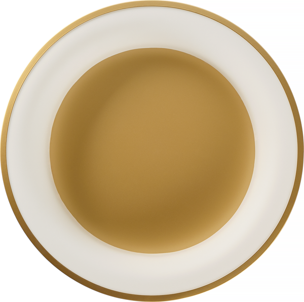 Изображение товара Потолочный светильник MyFar Shannon MR2195-1PL