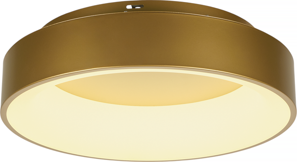 Изображение товара Потолочный светильник MyFar Shannon MR2195-1PL