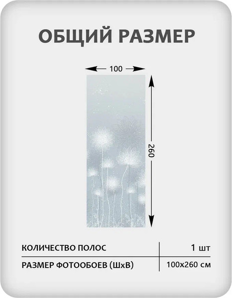 Изображение товара Фотообои листовые Citydecor Невесомость 42 (100x260см)