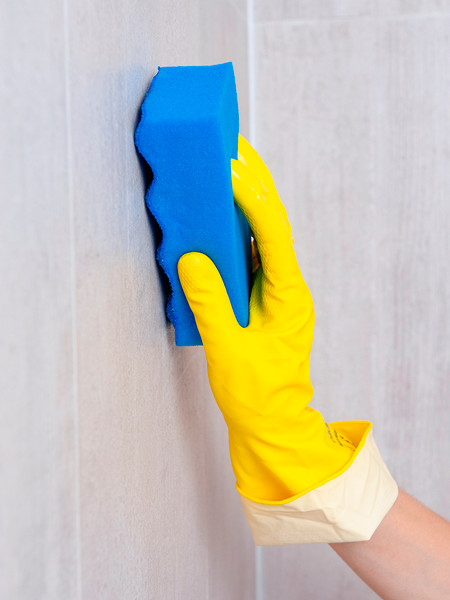 Изображение товара Набор губок хозяйственных HQ Profiline С абразивом / 77305 (5шт, синий)