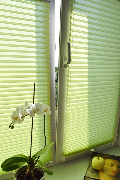 Изображение товара Штора-плиссе Delfa Basic Crush СПШ-8513 (34x160, салатовый)