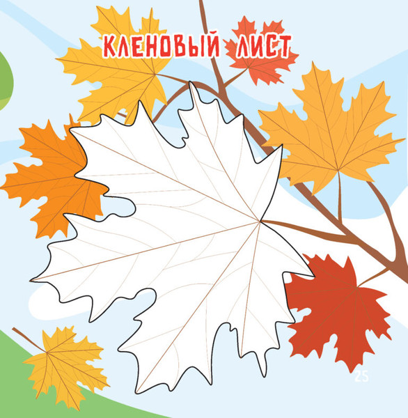 Изображение товара Раскраска Харвест Времена года. Рисуем пальчиками, мягкая обложка