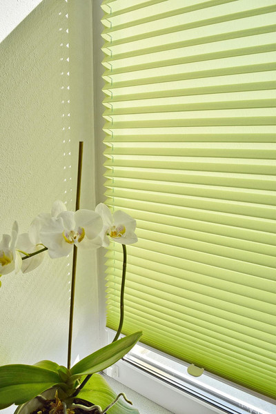 Изображение товара Штора-плиссе Delfa Basic Crush СПШ-8513 (48x160, салатовый)