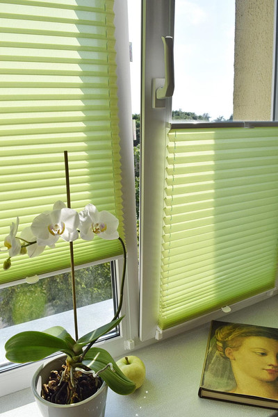 Изображение товара Штора-плиссе Delfa Basic Crush СПШ-8513 (52x160, салатовый)