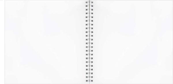 Изображение товара Скетчбук Феникс+ Набережная / 71674