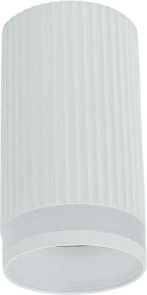 Изображение товара Спот General Lighting GWL-GU10-M-IP20 / 661697