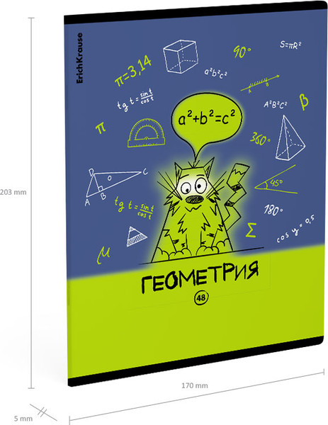 Изображение товара Тетрадь предметная Erich Krause Котоформулы. Геометрия / 62531 (48л)