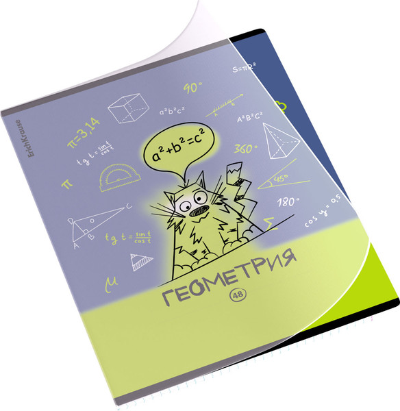 Изображение товара Тетрадь предметная Erich Krause Котоформулы. Геометрия / 62531 (48л)