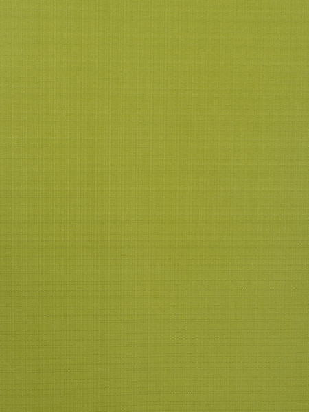 Изображение товара Рулонная штора Lm Decor Лайт LM 30-04E 100x160 (зеленый)