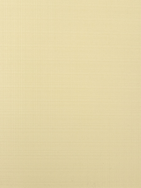 Изображение товара Рулонная штора Lm Decor Лайт LM 30-05F 85x160 (бежевый)