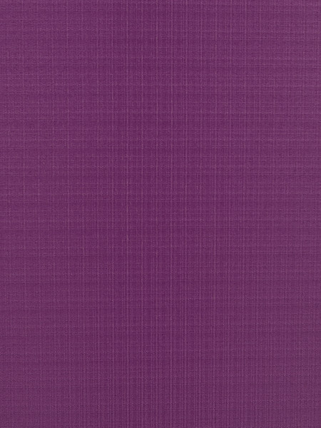 Изображение товара Рулонная штора Lm Decor Лайт LM 30-06G 150x170 (фиолетовый)