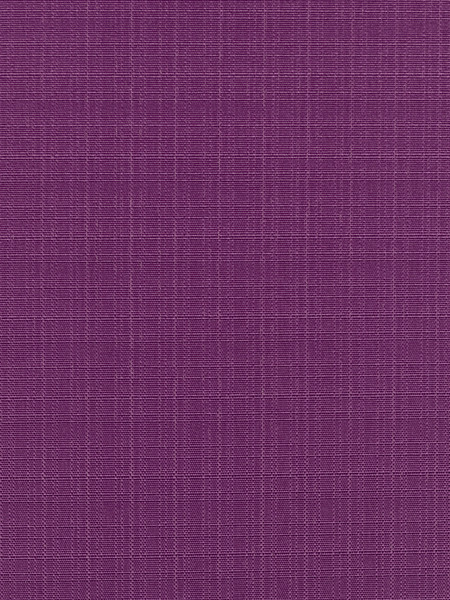 Изображение товара Рулонная штора Lm Decor Лайт LM 30-06G 38x160 (фиолетовый)