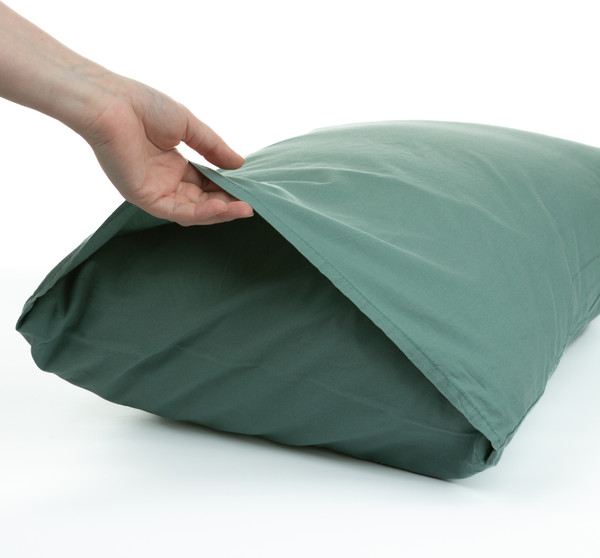 Изображение товара Комплект постельного белья Блакiт Вареный хлопок 2сп 50х70 / 17-6323 арт.4843 (зеленый)