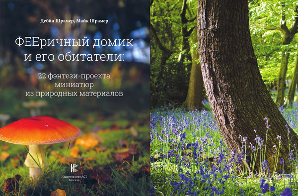 Изображение товара Нехудожественная книга АСТ Фееричный домик и его обитатели: 22 фэнтези-проекта (Шрамер Дебби)