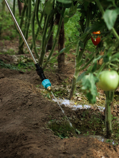 Изображение товара Опрыскиватель аккумуляторный GPT Storm Gun WB-SG3 (белый)