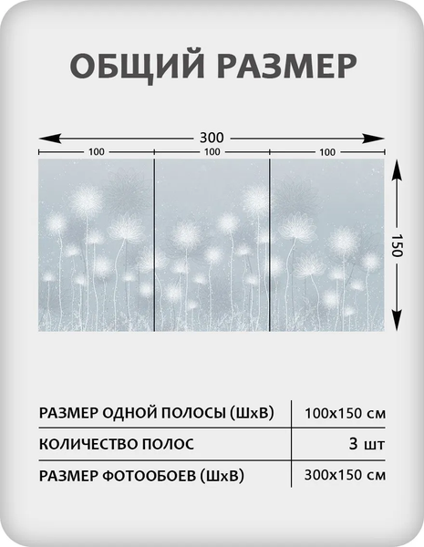 Изображение товара Фотообои листовые Citydecor Невесомость 42 (300x150см)