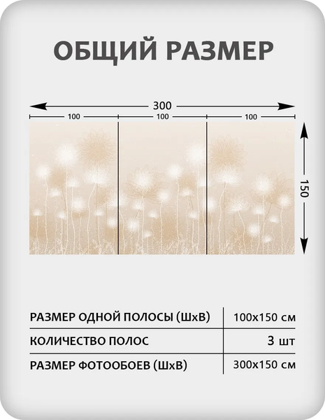 Изображение товара Фотообои листовые Citydecor Невесомость 43 (300x150см)