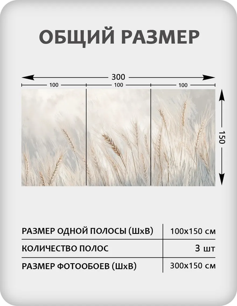 Изображение товара Фотообои листовые Citydecor Невесомость 45 (300x150см)