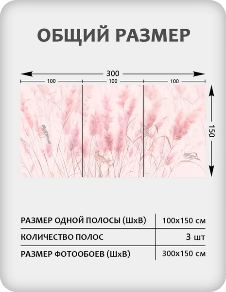 Изображение товара Фотообои листовые Citydecor Невесомость 44 (300x150см)
