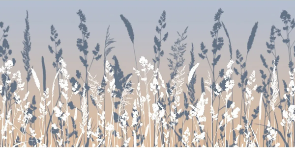 Изображение товара Фотообои листовые Citydecor Невесомость 46 (300x150см)