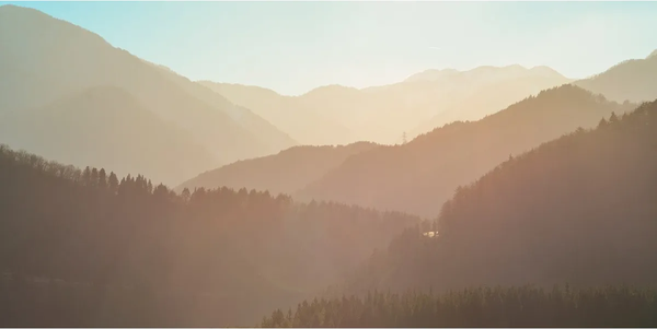 Изображение товара Фотообои листовые Citydecor Природа 147 (300x150см)