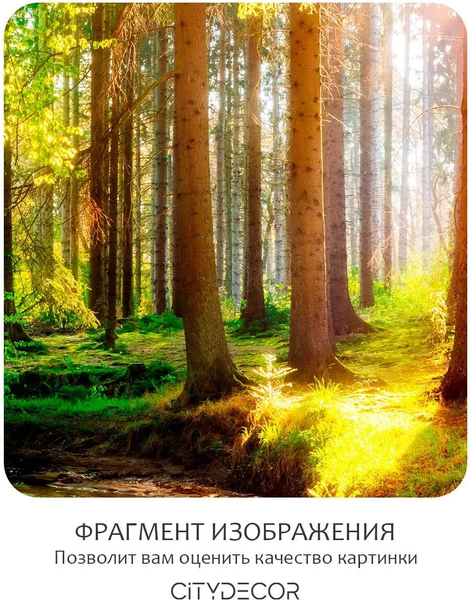 Изображение товара Фотообои листовые Citydecor Природа 149 (300x150см)