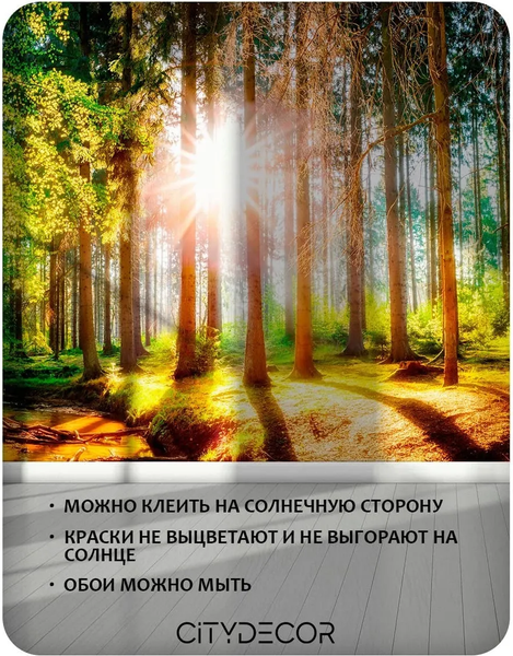 Изображение товара Фотообои листовые Citydecor Природа 149 (300x150см)