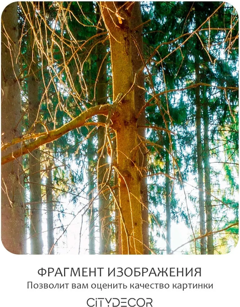 Изображение товара Фотообои листовые Citydecor Природа 149 (300x150см)