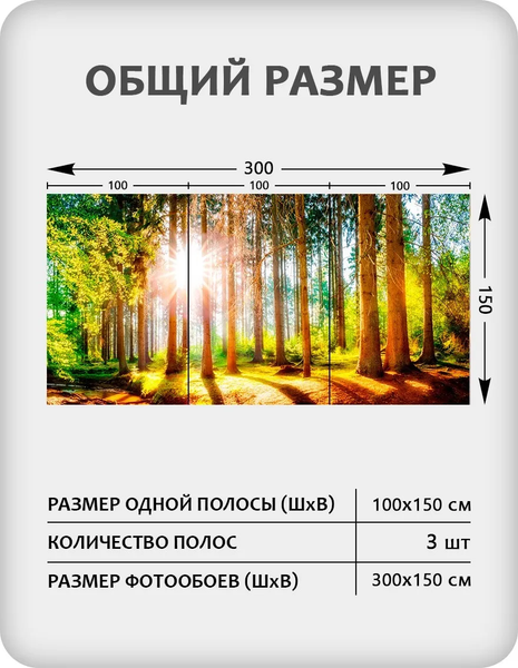 Изображение товара Фотообои листовые Citydecor Природа 149 (300x150см)