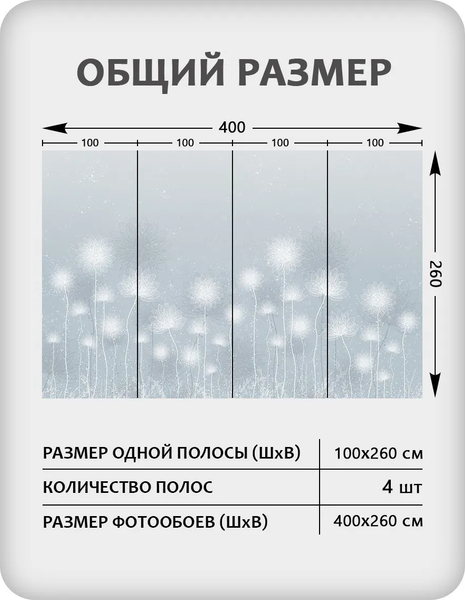 Изображение товара Фотообои листовые Citydecor Невесомость 42 (400x260см)