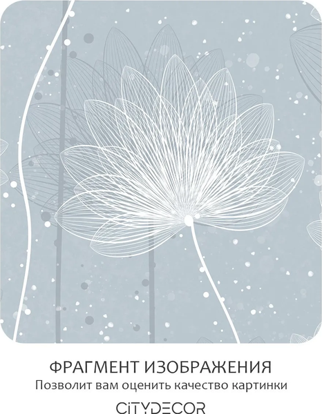 Изображение товара Фотообои листовые Citydecor Невесомость 42 (500x260см)