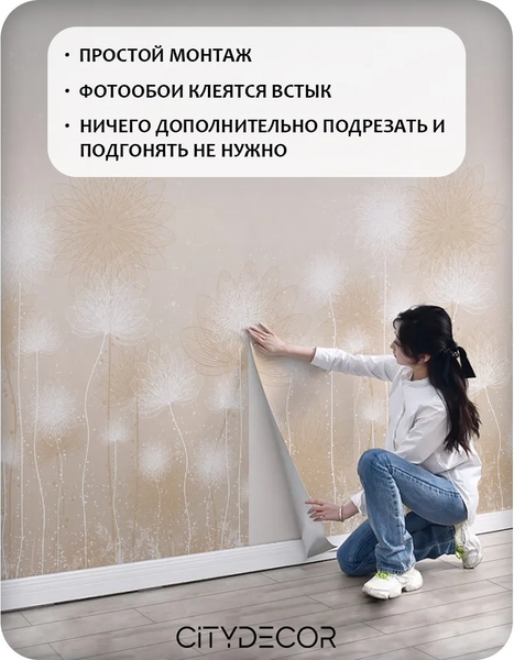 Изображение товара Фотообои листовые Citydecor Невесомость 43 (500x260см)